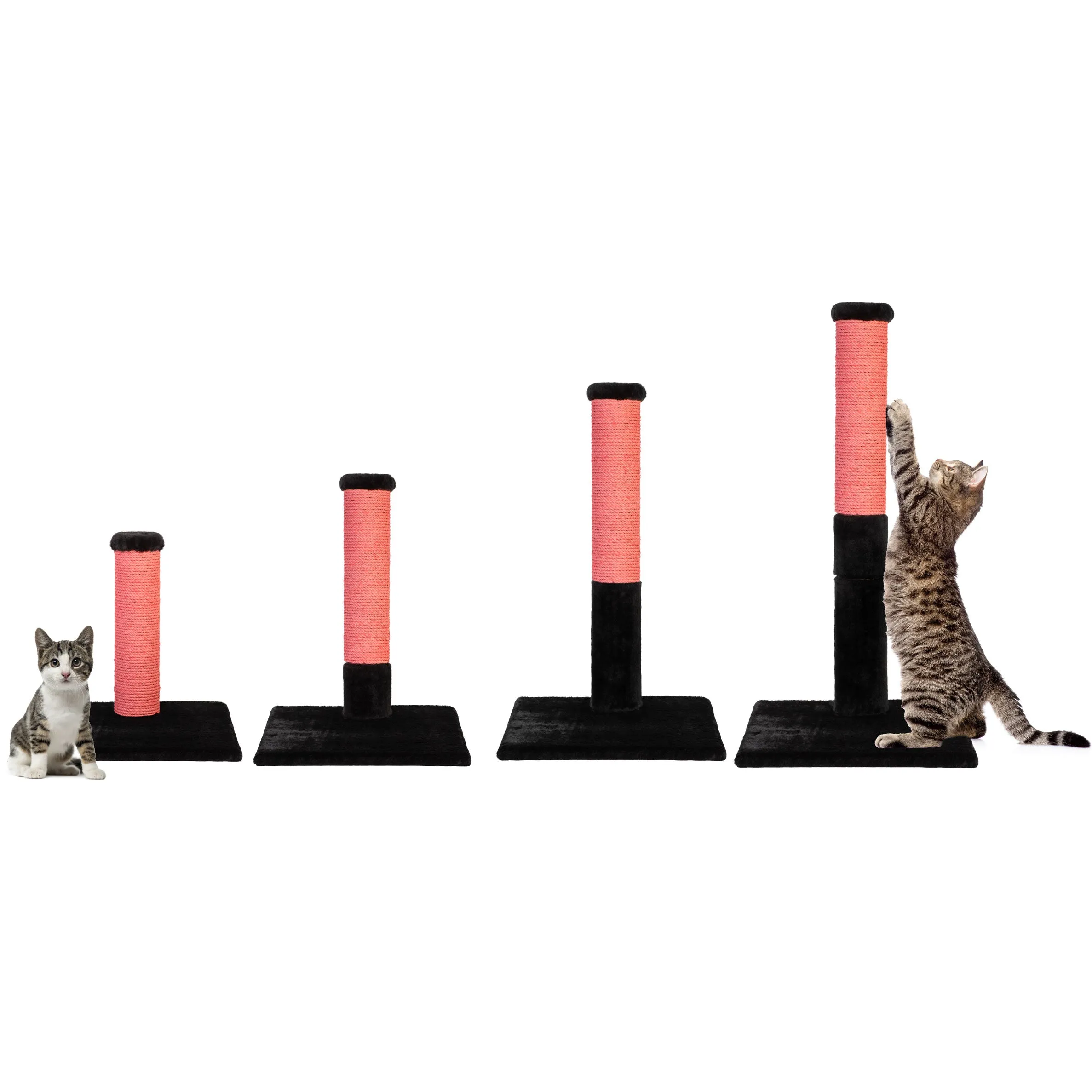 Noba Evolution 4-in-1 Scratching Post, photo 5