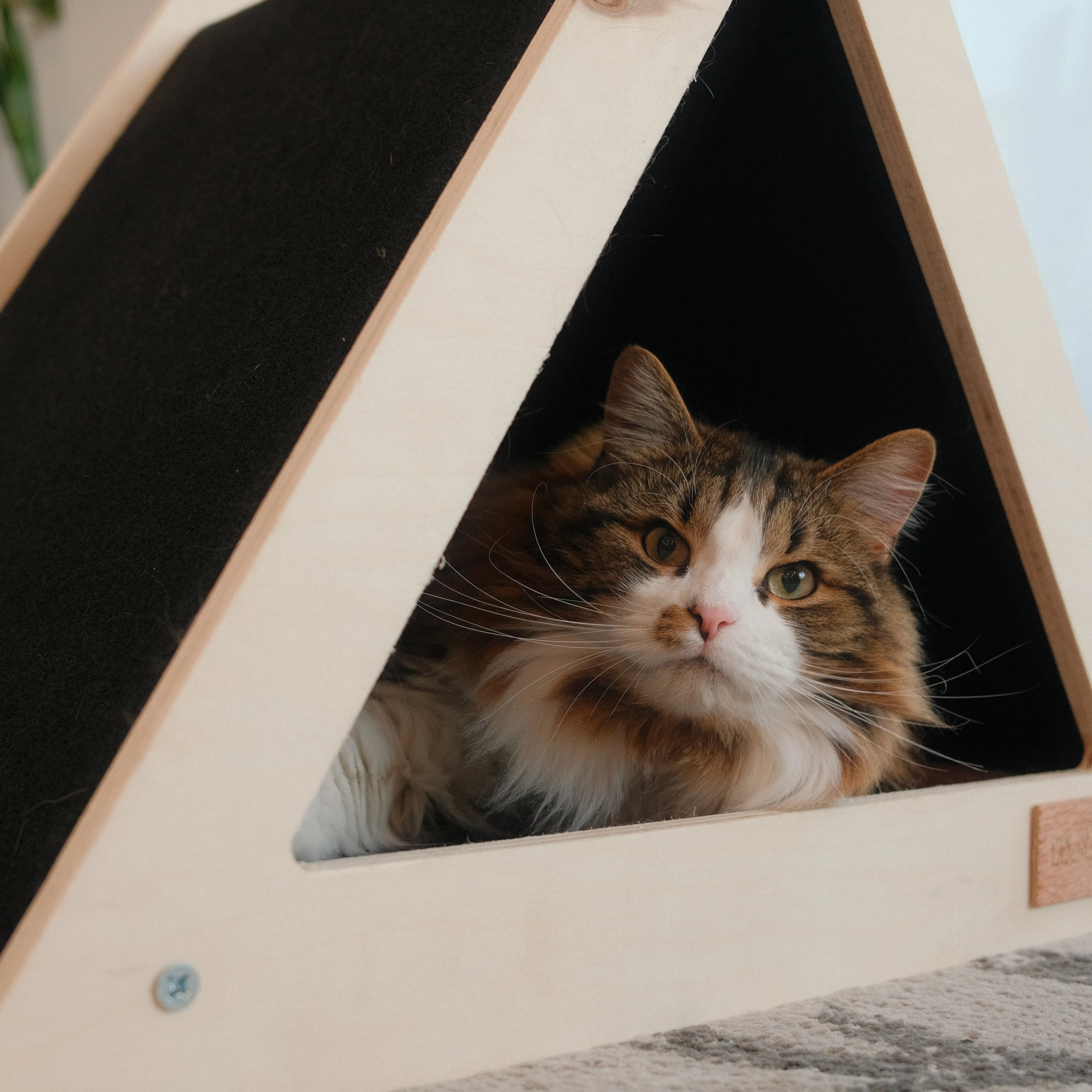 Noba Origin Teepee Cat House, photo 4