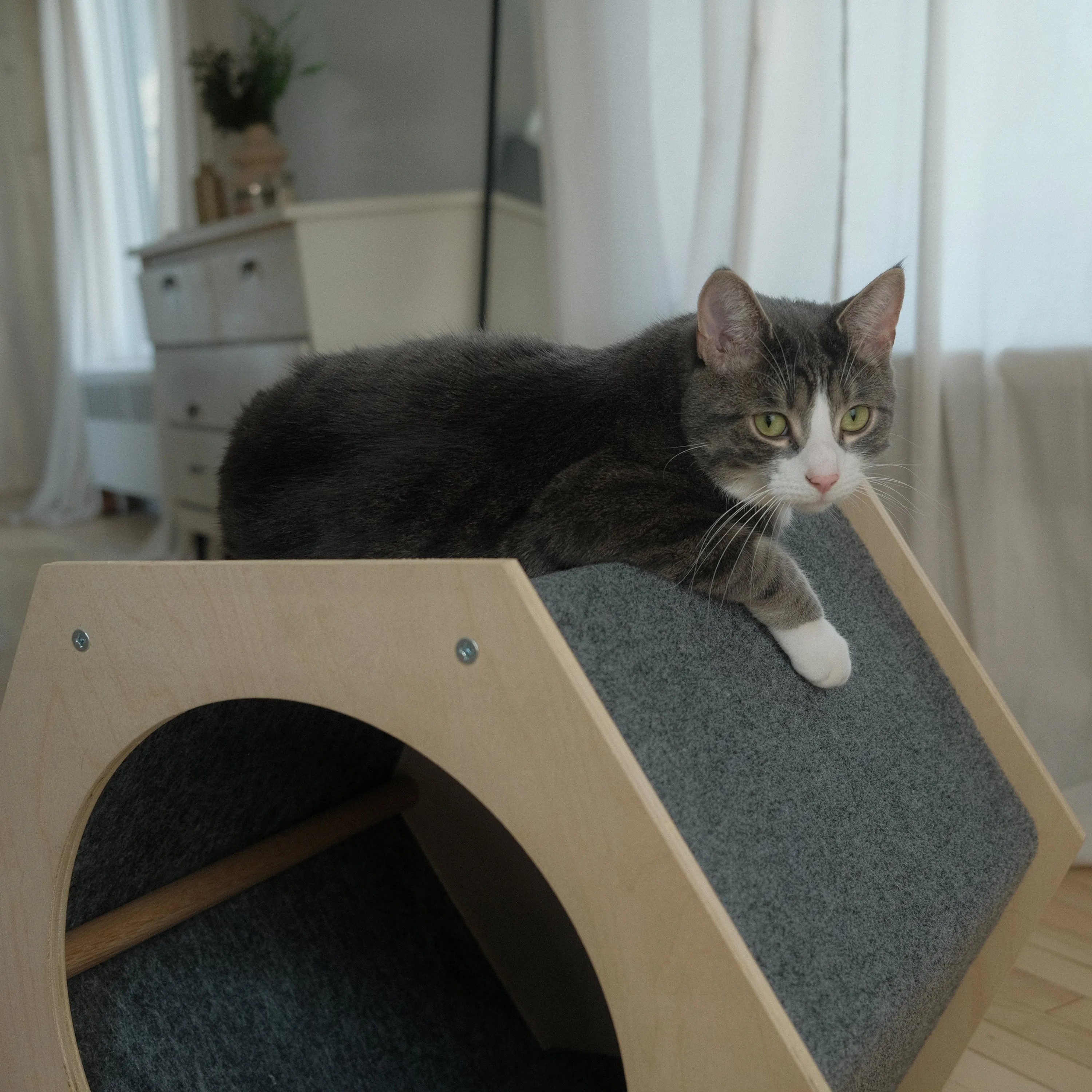 The Hexagon Cat House, photo 3