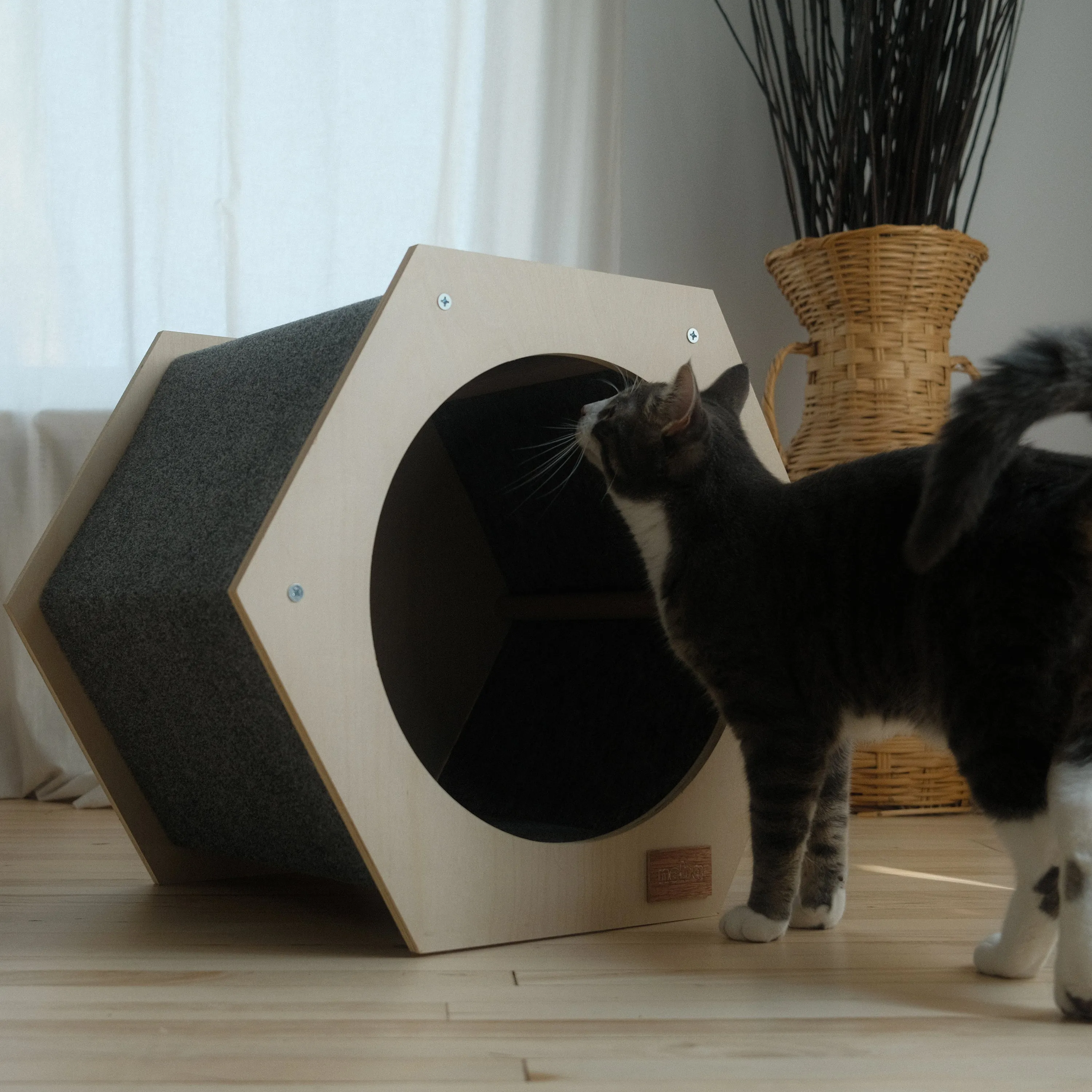 The Hexagon Cat House, photo 4