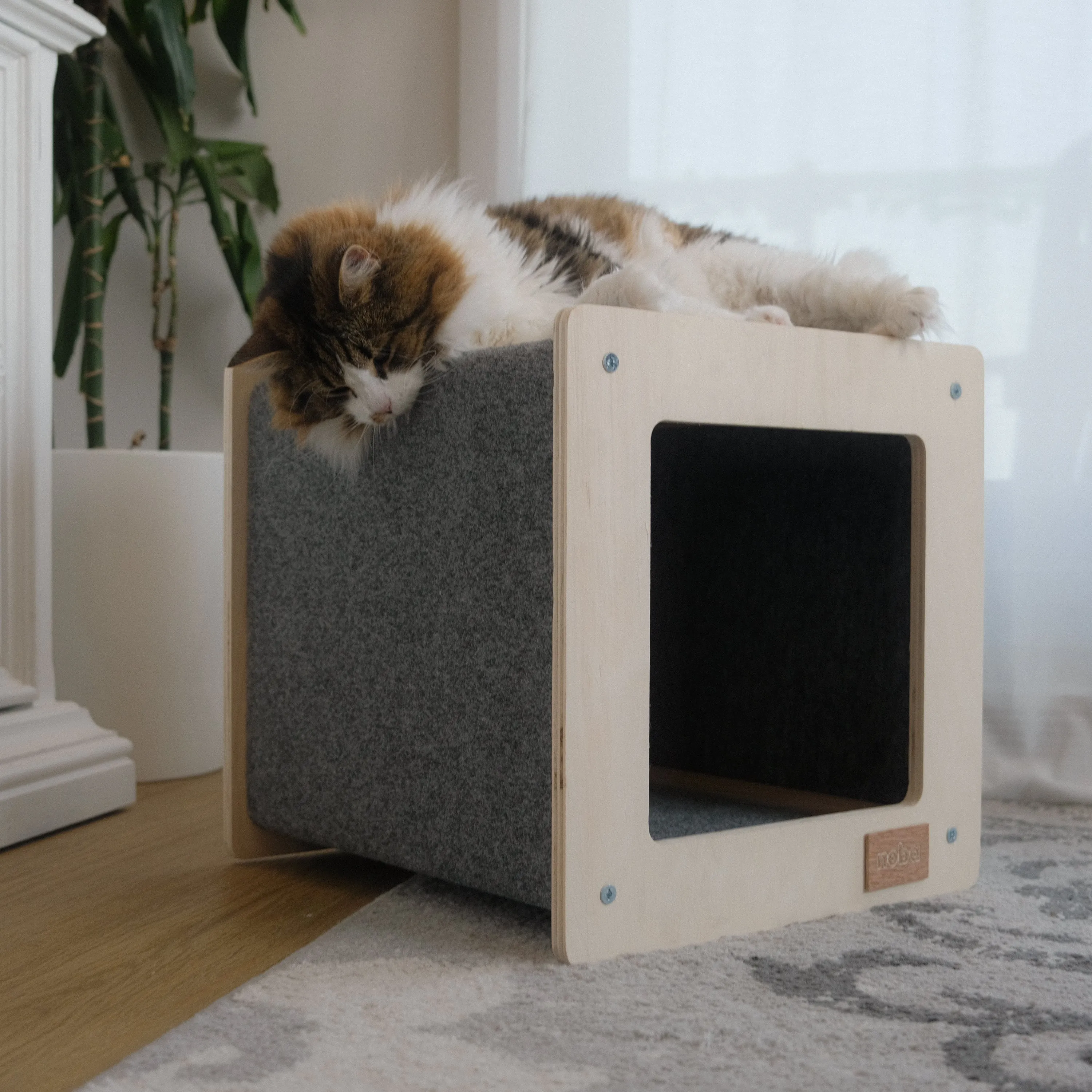 Maison Urban Hut pour animaux, photo 3