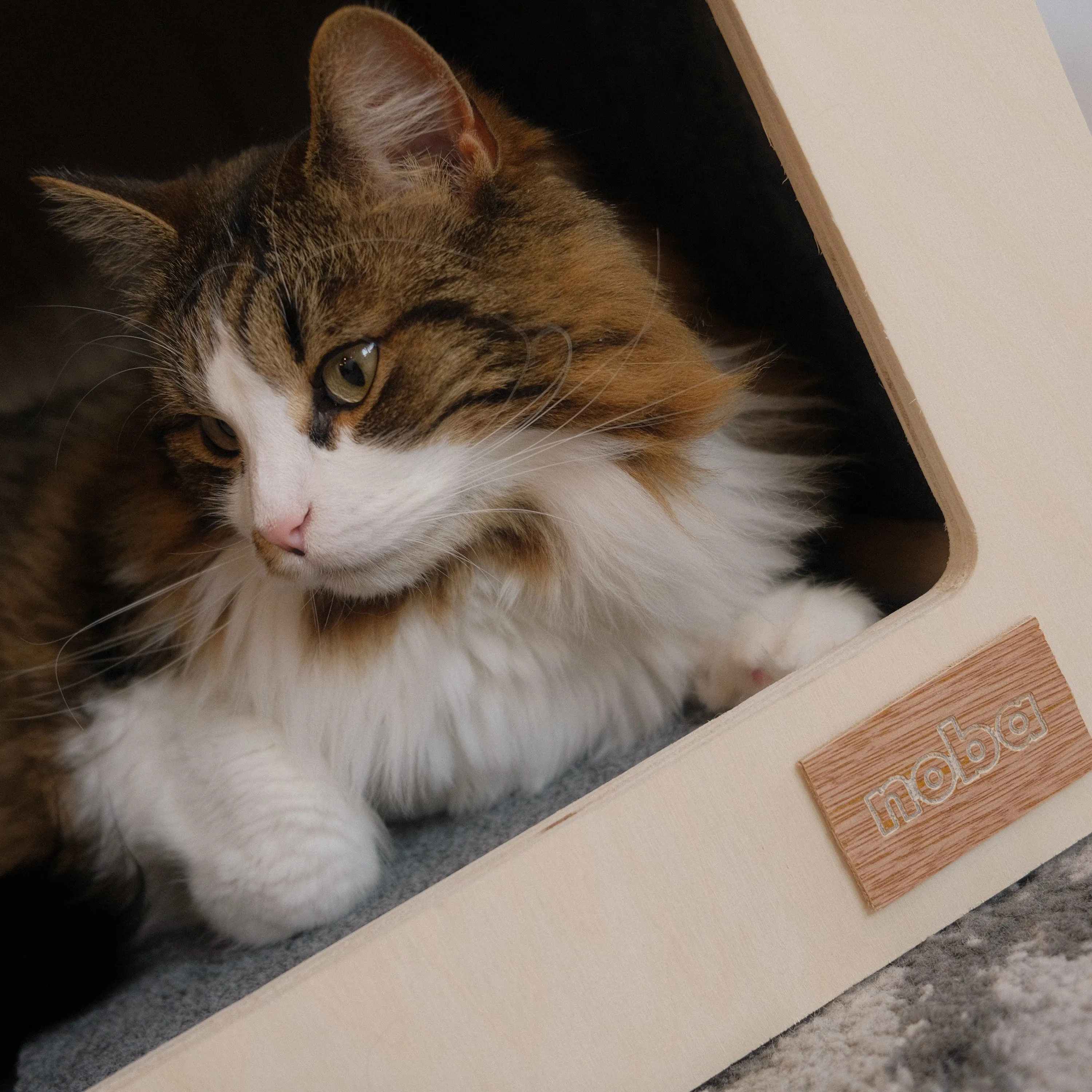 Maison Urban Hut pour animaux, photo 4